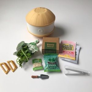 hanging pothos Miniverse Make It Mini Lifestyle